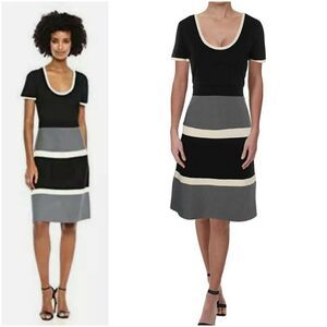 NWT Anne Klein Women’s Fit & Flare Dress XXS Black Gray Stretch Short Sleeve
